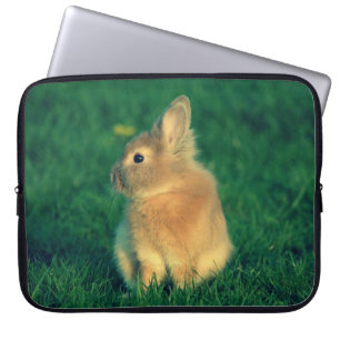 Capa Para Notebook Coelho pequeno
