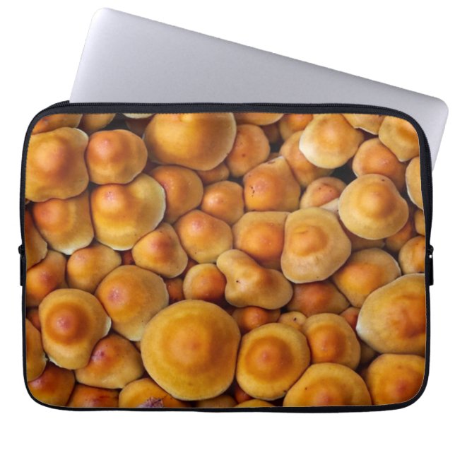Capa Para Notebook Cogumelos Fungus (Frente)