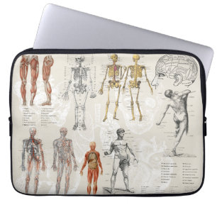 Capa Para Notebook Colagem de Arte de Anatomia Vintage
