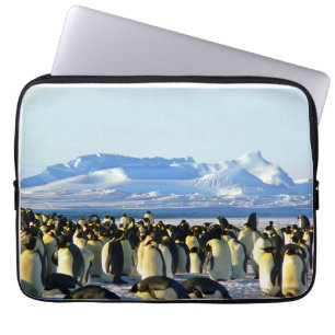 Capa Para Notebook Colônia de pinguim no gelo