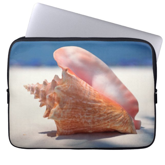 Capa Para Notebook Conch Shell na praia 2 (Frente)