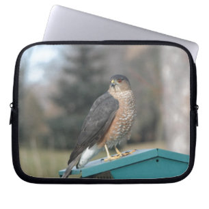 Capa Para Notebook Coopers Hawk