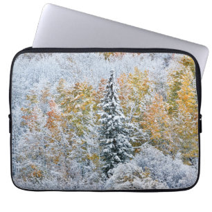 Capa Para Notebook Cores de Outono de Aspens & Neve Keebler Pass