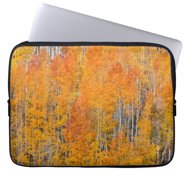 Capa Para Notebook Cores de Outono em Bosques de Álamo (Frente)