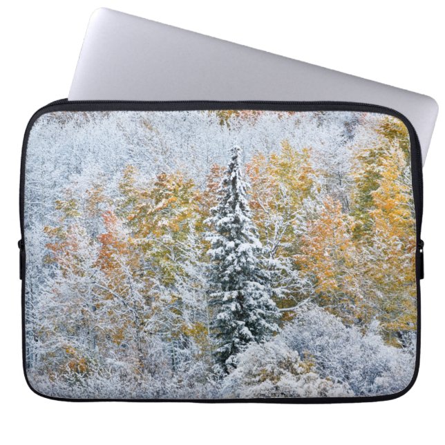 Capa Para Notebook Cores de queda de Aspens & Snow Keebler Pass (Frente)