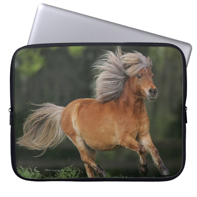 Capa Para Notebook Corredor diminuto do cavalo (Frente)