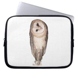 Capa Para Notebook Coruja-de-bico