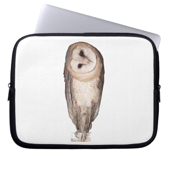 Capa Para Notebook Coruja-de-bico (Frente)