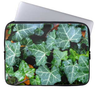 Capa Para Notebook Costa do Marfim verde e pedra de campo