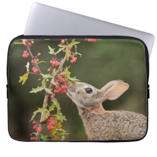 Capa Para Notebook Cottontail oriental   Sul do Texas