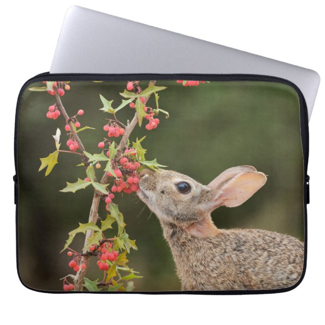Capa Para Notebook Cottontail oriental | Sul do Texas (Frente)