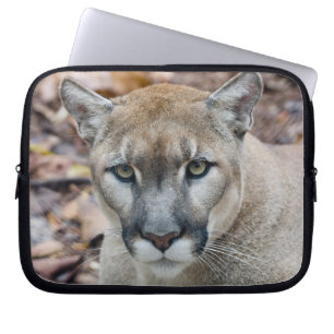 Capa Para Notebook Cougar, leão da montanha, Puma da Flórida