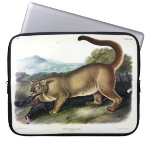 Capa Para Notebook Cougar ou Puma, Pantera, Leão de Montanha, Catmont