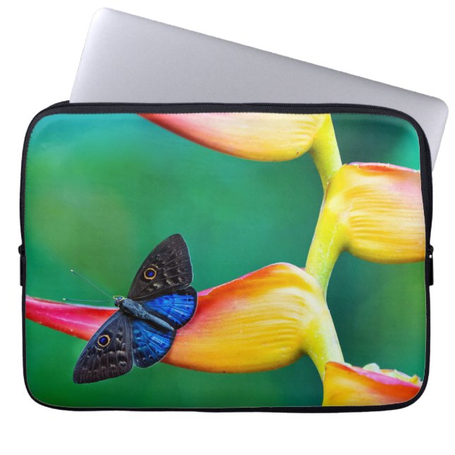 Capa Para Notebook Crie seu próprio modelo personalizado de foto (Frente)