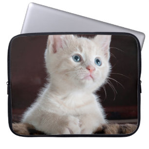 Capa Para Notebook Cristóvão Branco Vulnerável