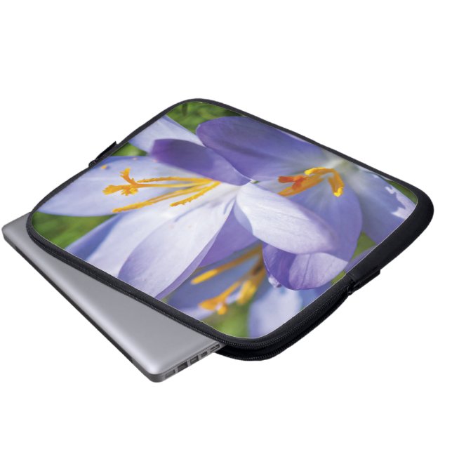 Capa Para Notebook Crocus (Frente Inferior)