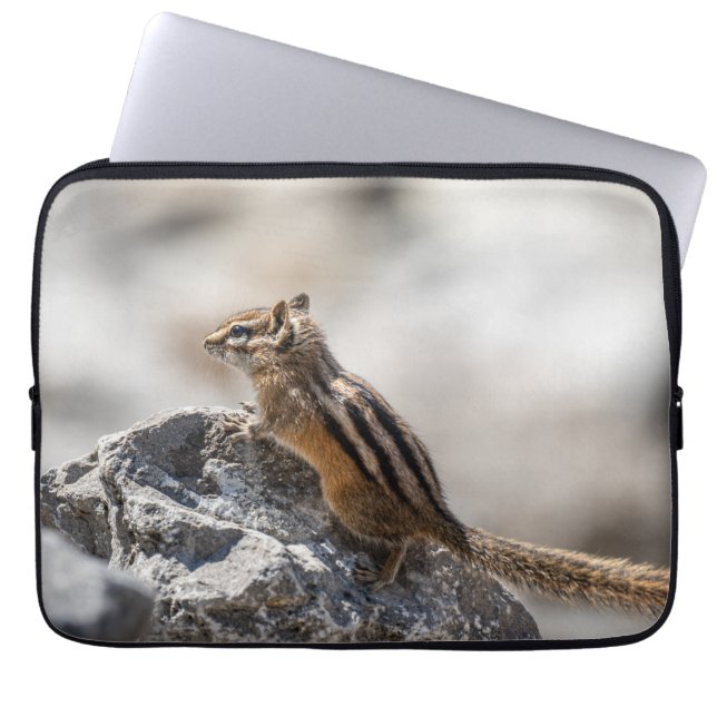 Capa Para Notebook Curioso Chipmunk castanho em Alberta (Frente)