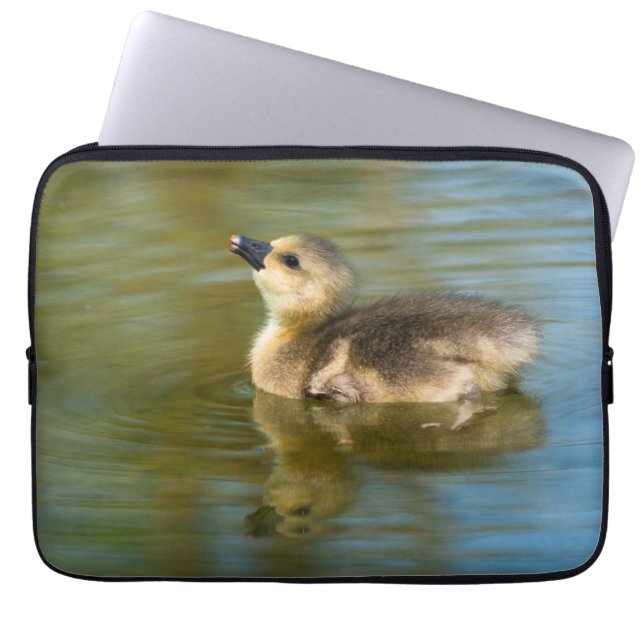Capa Para Notebook Cute Gosling on pond (Frente)
