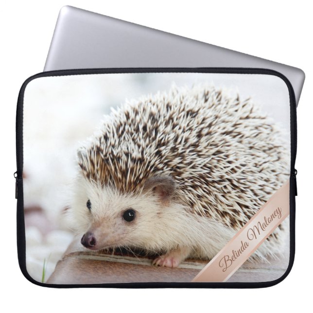Capa Para Notebook Cute Hedgehog (Frente)