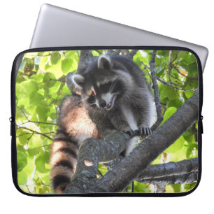 Capa Para Notebook Cute Raccoon em árvore