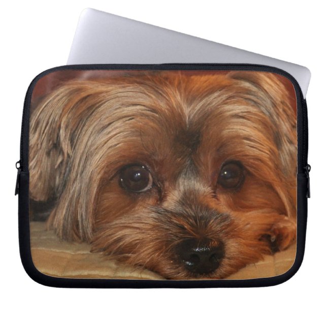 Capa Para Notebook Cute Yorkshire Terrier Puppy Dog (Frente)