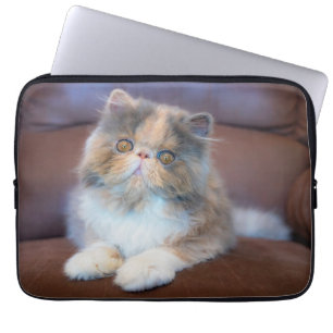 Capa Para Notebook Cutest Baby Animals Calico Persian Kitten