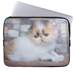 Capa Para Notebook Cutest Baby Animals Calico Persian Kitten