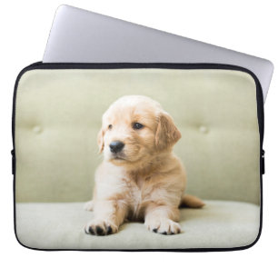 Capa Para Notebook Cutest Baby Animals Golden Retriever Puppy