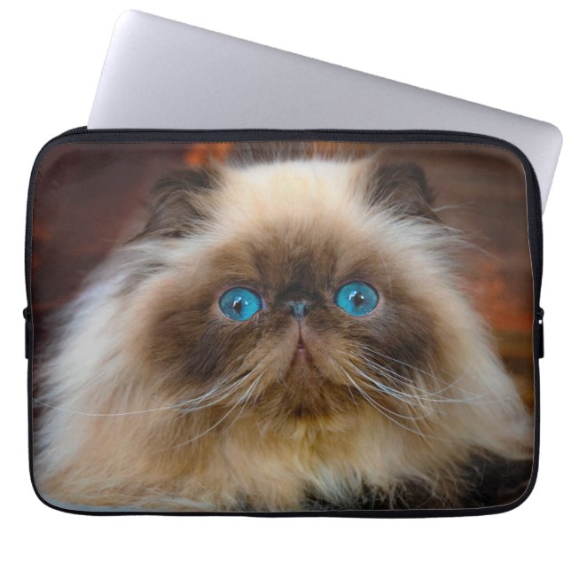 Capa Para Notebook Cutest Baby Animals | Himalayan Cat (Frente)