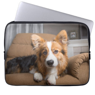 Capa Para Notebook Cutest Baby Animals Long Hair Corgi Puppy
