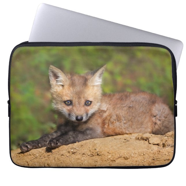 Capa Para Notebook Cutest Baby Animals | Red Fox Pup (Frente)