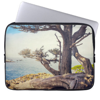 Capa Para Notebook Cypress by the Sea