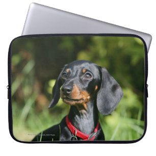 Capa Para Notebook Dachshund diminuto Liso-de cabelo 3