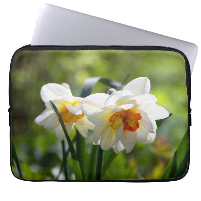 Capa Para Notebook Daffodils fodils fodils primavera (Frente)