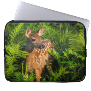 Capa Para Notebook Deer Fawn de cauda branca Minnesota