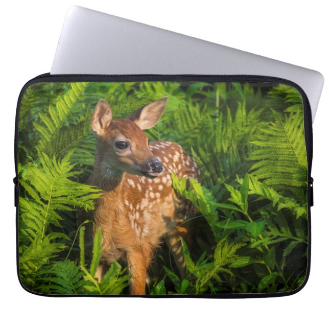 Capa Para Notebook Deer Fawn de cauda branca | Minnesota (Frente)
