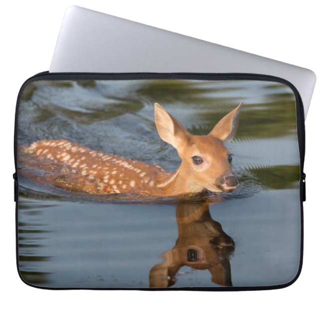 Capa Para Notebook Deer Fawn | Minnesota (Frente)