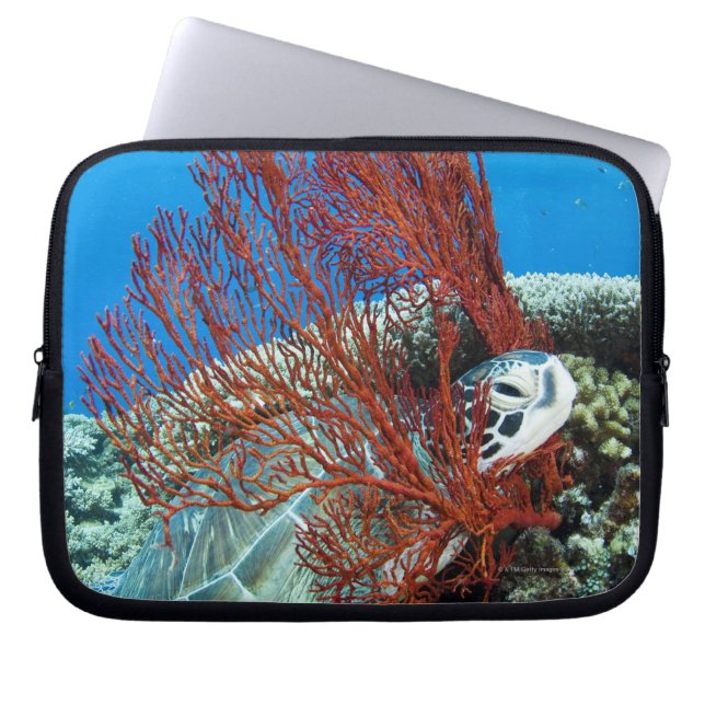 Capa Para Notebook Descanso da tartaruga de mar (Frente)