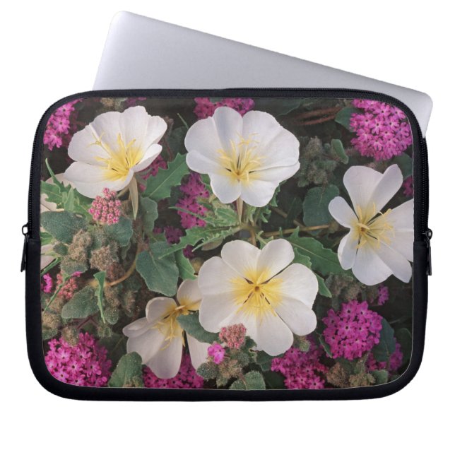 Capa Para Notebook Deserto Noite Primrose e Deserto Sand Verbena, (Frente)