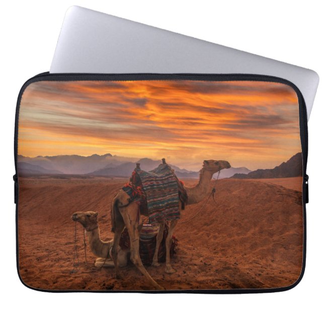 Capa Para Notebook Desertos | Bactrian Camel Egypt Sand Dune (Frente)