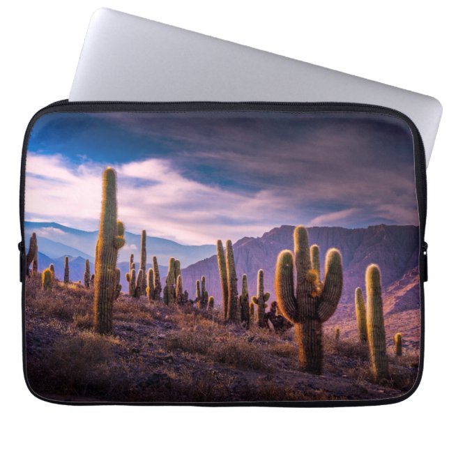 Capa Para Notebook Desertos | Paisagem Cactus Argentina (Frente)