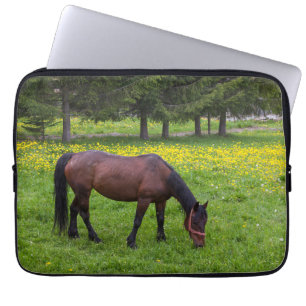Capa Para Notebook Desfiladeiro de Tihuta, Cavalo no Pasto
