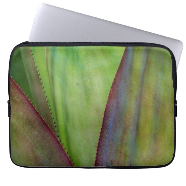 Capa Para Notebook Detalhe da Planta Agave (Frente)