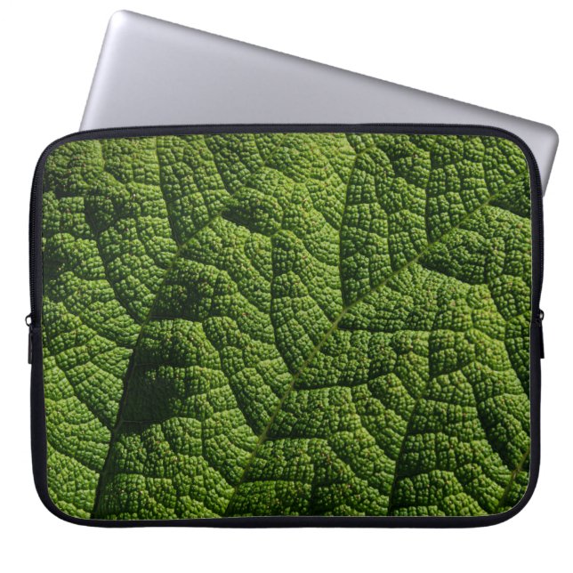 Capa Para Notebook Detalhes da folha verde Gunnera (Frente)