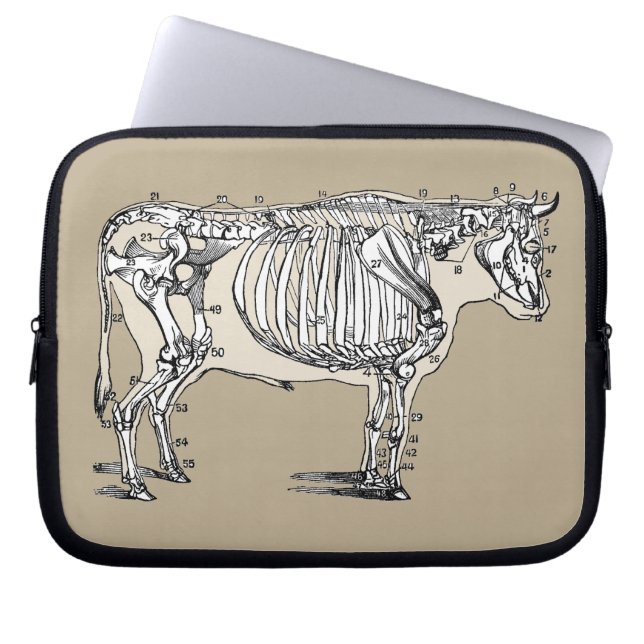 Capa Para Notebook Diversão Antiguada Do Esqueleto De Vaca (Frente)