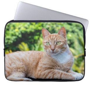 Capa Para Notebook Doce gatinho