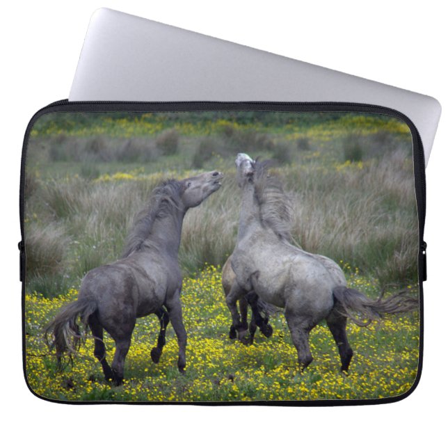Capa Para Notebook Dois Cavalos Saltam e Jogam (Frente)