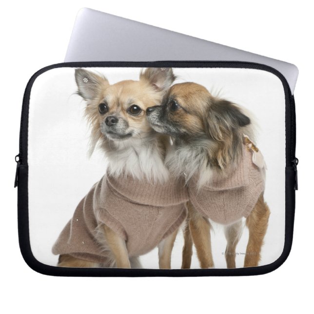 Capa Para Notebook Dois Chihuahuas vestidos (2 anos) (Frente)
