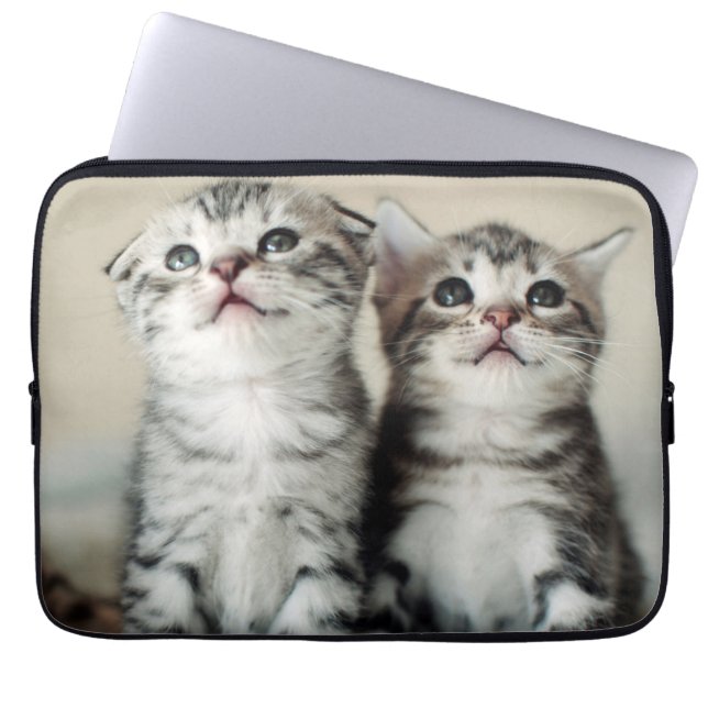 Capa Para Notebook Dois gatinhos bonitos (Frente)
