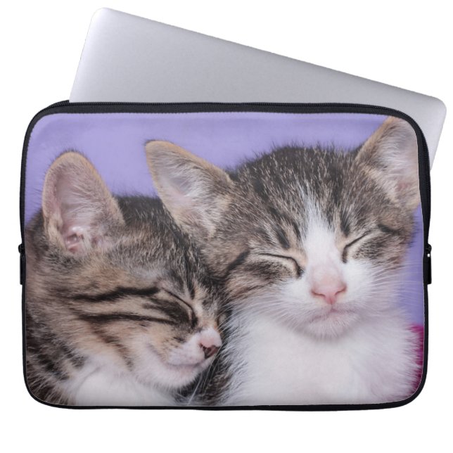 Capa Para Notebook Dois gatinhos bonitos que Napping (Frente)